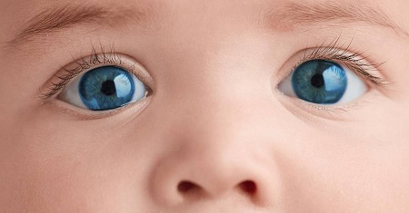 عوامل موثر بر رنگی شدن چشم جنین در شکم مادر, انگور و رنگ چشم جنین, برای رنگی شدن چشم جنین چه بخوریم ,آیا می توان با تغذیه رنگ چشم نوزاد را رنگی کرد؟,fetus eyes food,