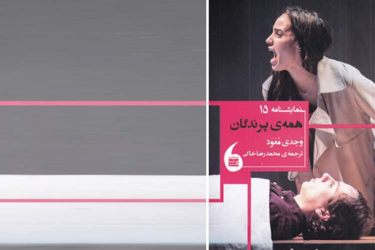 همه پرندگان، داستان عشقی شورانگیز و ناممکن همه پرندگان، داستان عشقی شورانگیز و ناممکن
