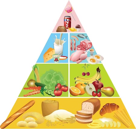 هرم غذایی چیست, هرم غذایی, عکس هرم غذایی ,هرم غذایی چیست؟ انواع گروههای غذایی در هرم غذایی,food pyramid,