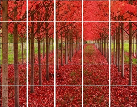 پاسخ صحيح مرحله هفتم طرح امتیازی (قطعه‌ی گمشده)