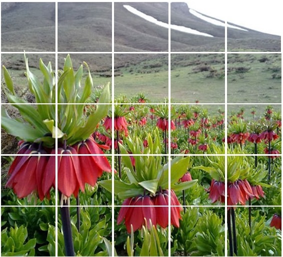 پاسخ صحيح مرحله هشتم طرح امتیازی (قطعه‌ی گمشده)