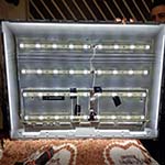 55P2US | XVISION | بکلایت | خرید| فروش | تستر