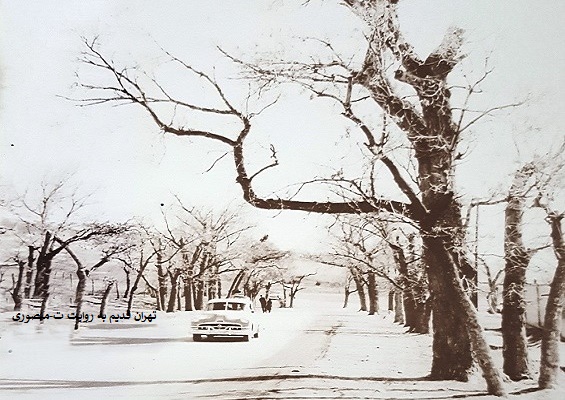 محله پاسداران