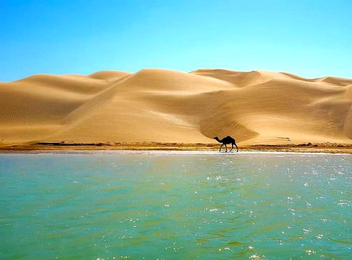 نمایندگی شیائومی در زاهدان